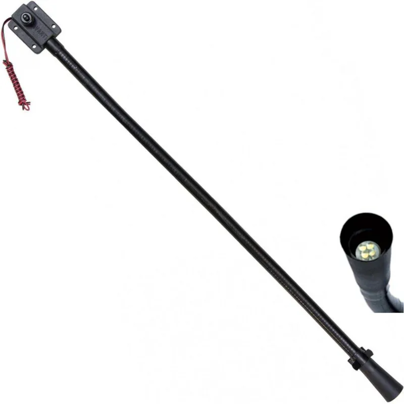 Kartlampe, Avanti 18